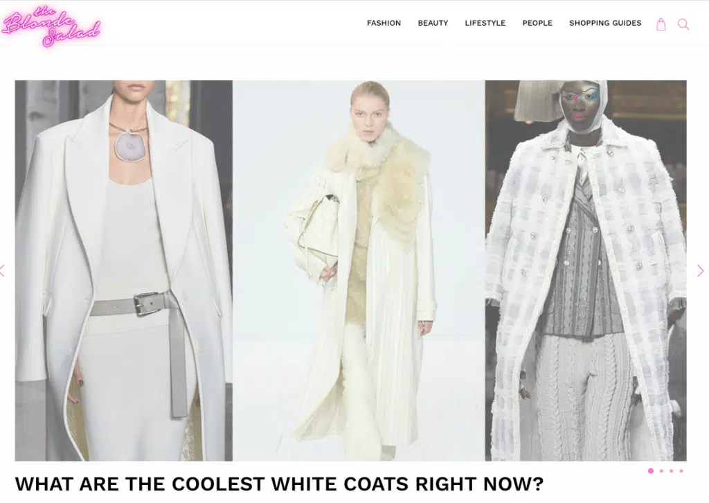 The Blond Salad Website