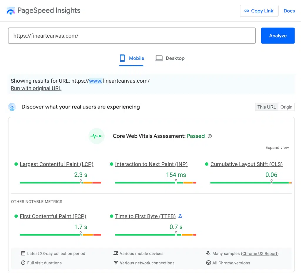 PageSpeed Insights – Fine Art Canvas